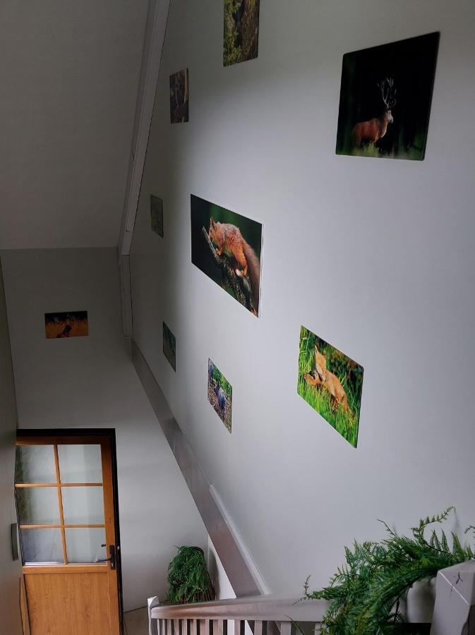 O Baguenaudes Jalhay Exterior foto